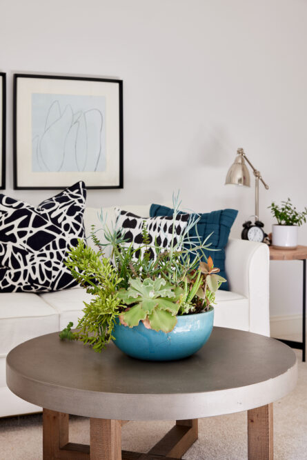 living-room-interior-design-indoor-plant-round-coffee-table