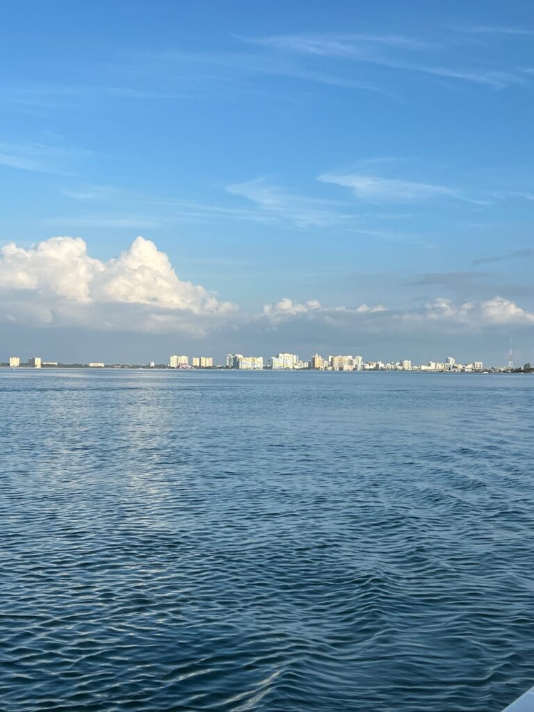 Sarasota From The Bay